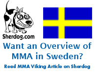 MMA_in_Sweden